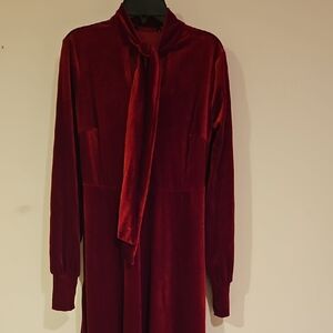 Elegant Red Velvet Dress